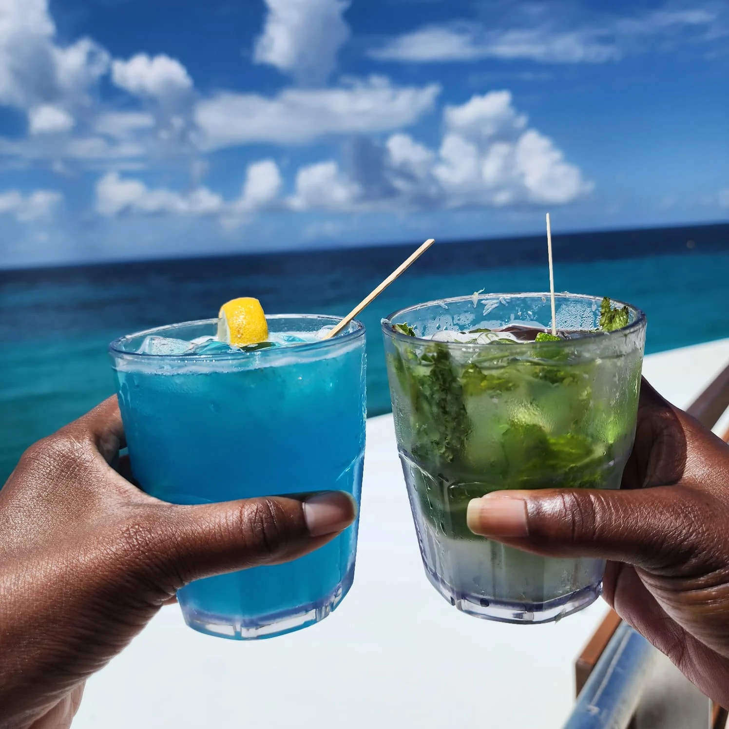 Travelers sharing a toast over the ocean