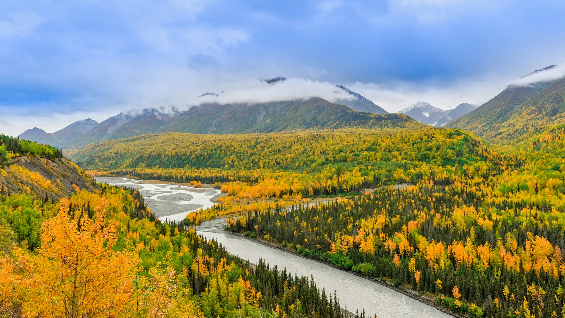 Wild Alaskan river flowing through evergreen forest