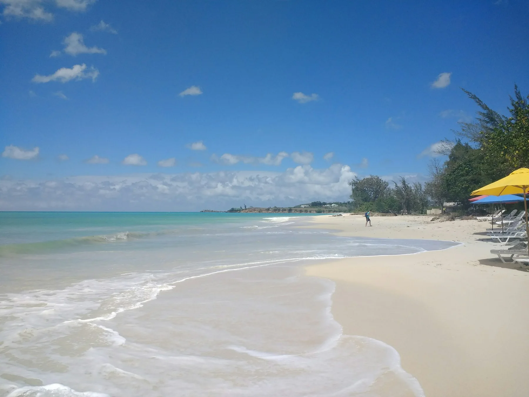 Palm-lined beach in Antigua