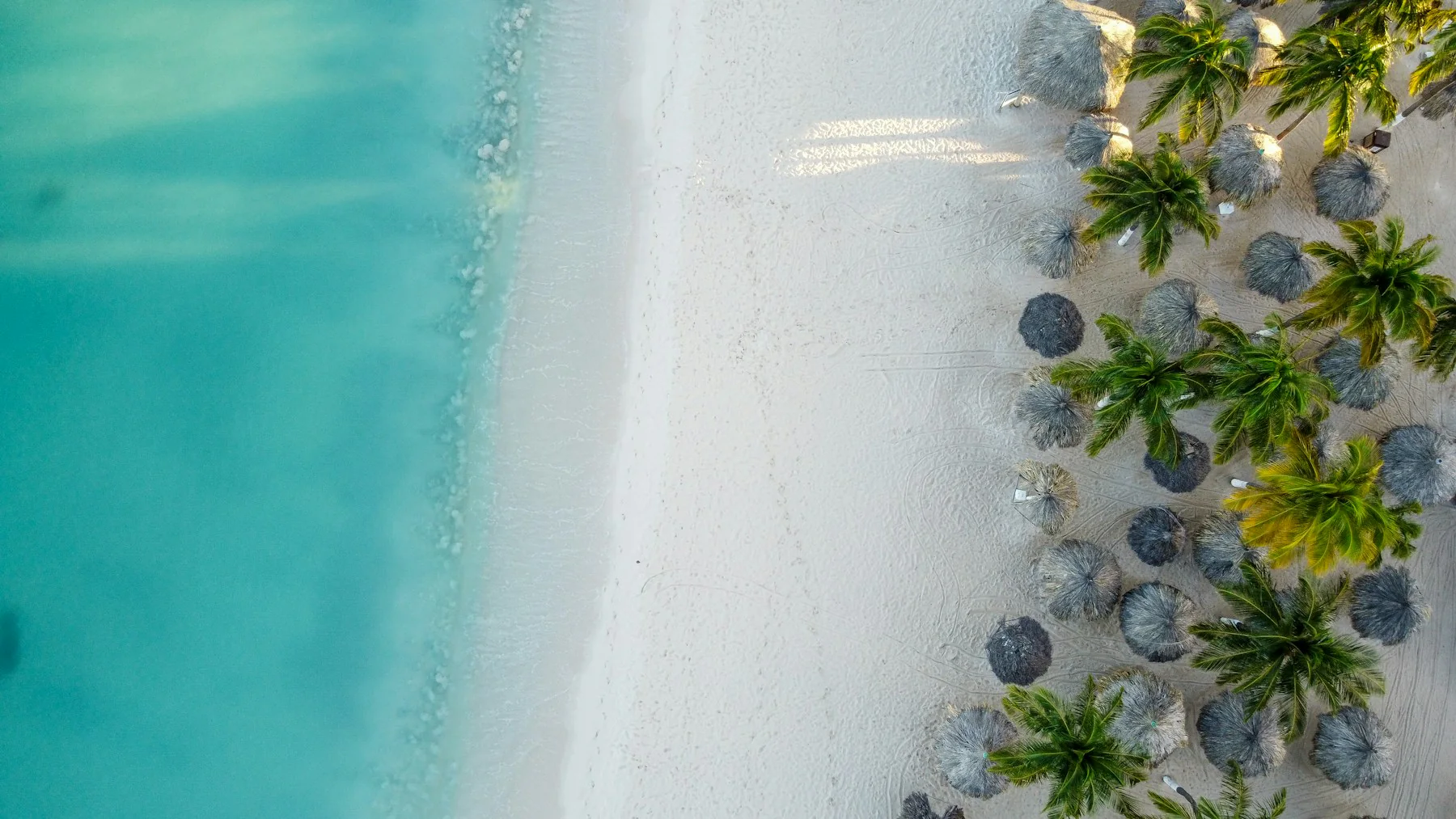 Aerial view of Aruba's white-sand beach, turquoise water, and palm trees