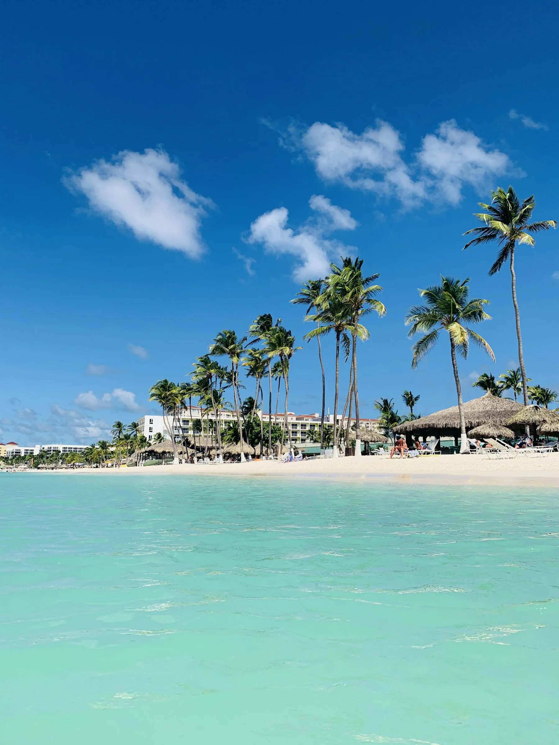 Palm trees on an Aruba beach