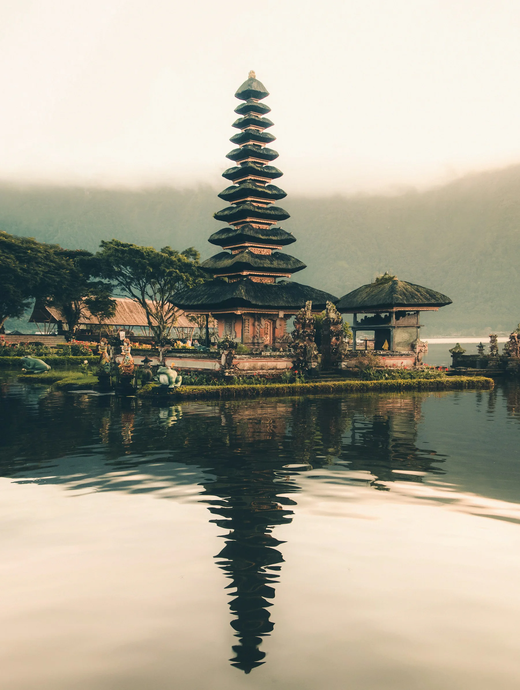 Lush terraced landscape in Bali