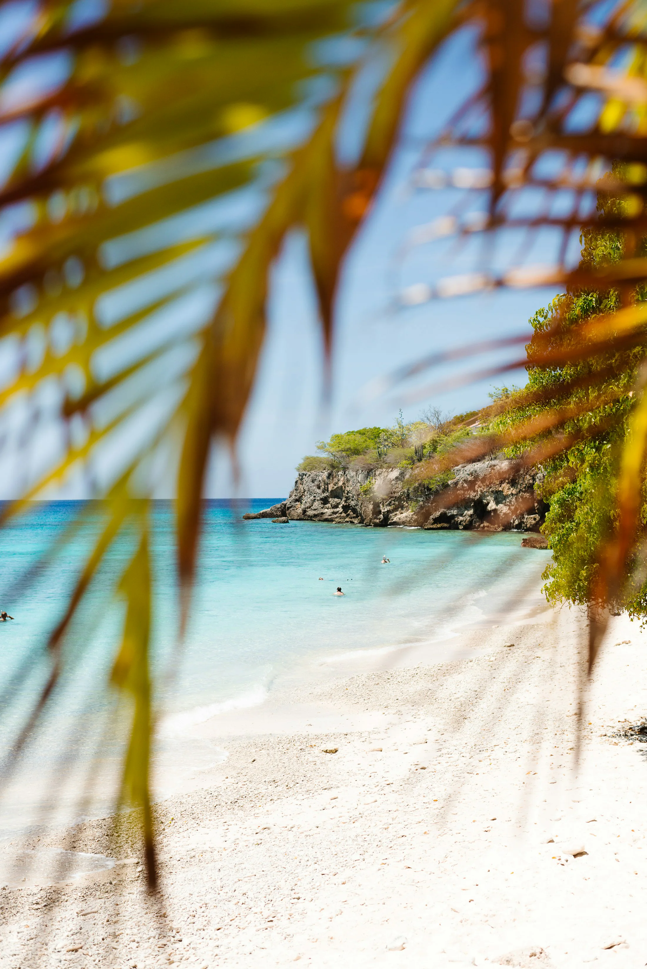Curaçao beach and clear water