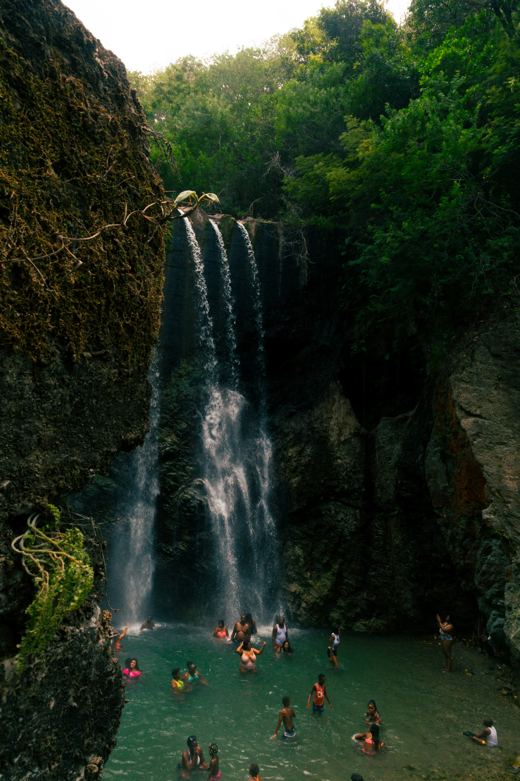 Waterfalls surrounded by tropical forest in Jamaica