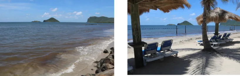 Uncovering the Best Resorts for Your St. Lucia Getaway travel photo